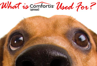What is Comfortis Used For?