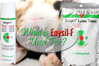 What is Enisyl-F Used For?