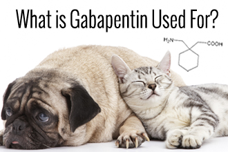 What is Gabapentin Used For?