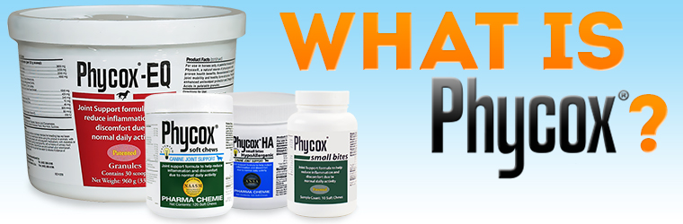 What is PhyCox Used For?