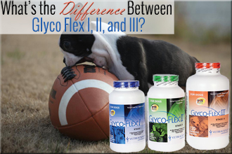 What's the Difference Between GlycoFlex I, II, and III?