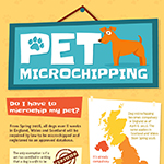 What You Need To Know About Microchipping Your Pet