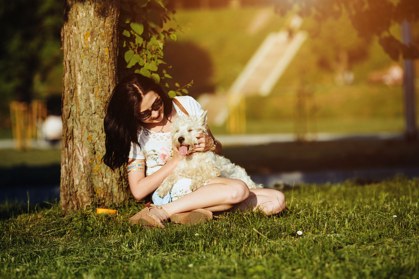What You Should Know About Animal Therapy