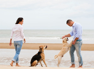 What Your Pet Says About You: Personalities and Looks to Match?