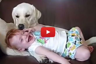 When This Dog Licks His Family's Tiniest Human, Something Adorable Happens!