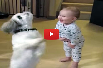When This Dog Starts Spinning For Treats, Watch What The Baby Does!