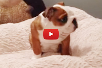 When You Are Just Super Excited About Getting Into Bed