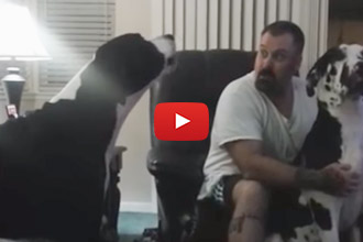 When You Want All The Attention For Yourself