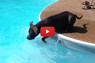 When You Want To Work Out, But Are Super Lazy...