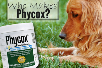Who Makes Phycox?