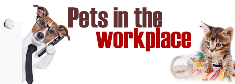 Why Banning Pets in the Office Could Get Your Company Fired