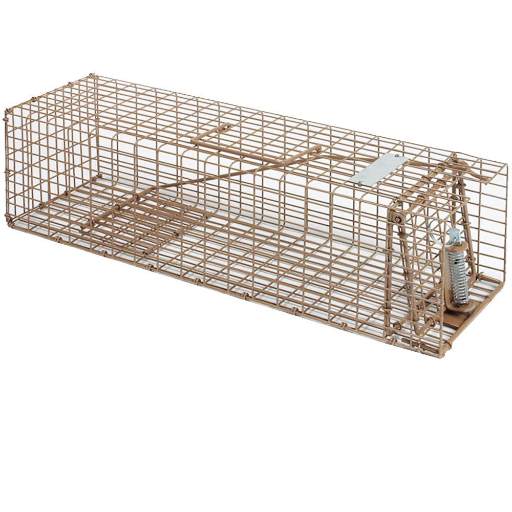 Wild Animal & Rodent Control