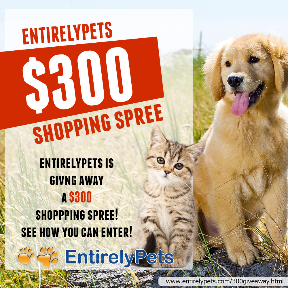 Win An EntirelyPets $300 Shopping Spree!