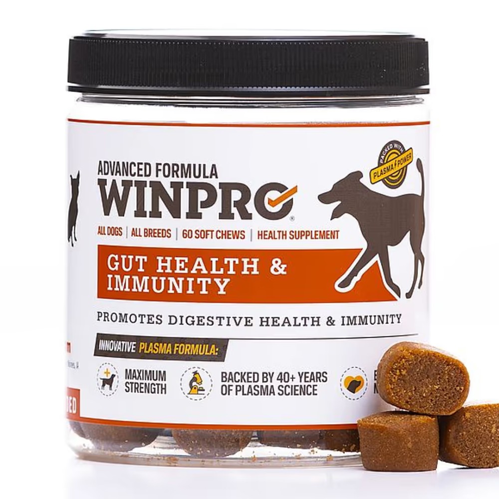 WINPRO-GUT-HEALTH-SC-DOGS-60-CT