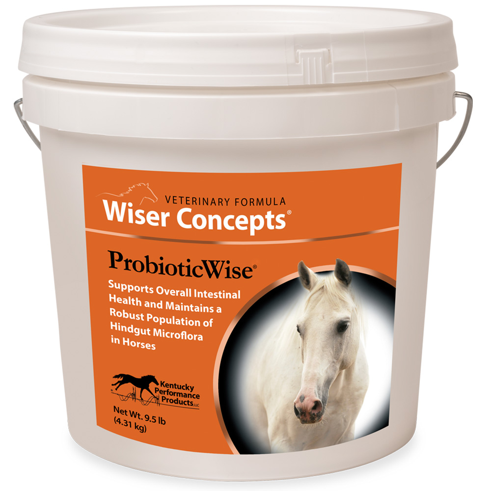Wiser Concepts for Horses