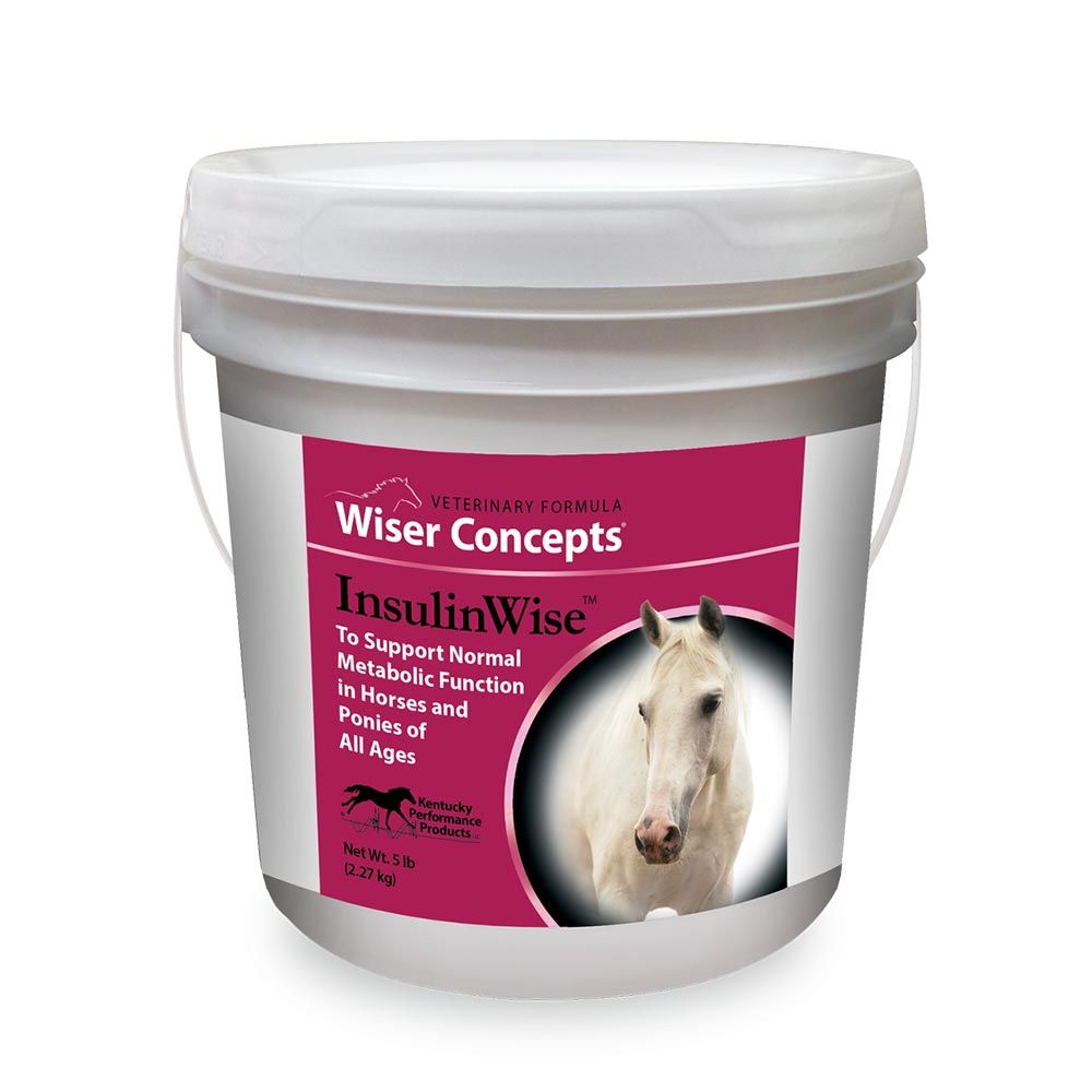 WISER-CONCEPTS-INSULINWISE-5LB