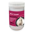 Wiser Concepts InsulinWise for Horses & Ponies