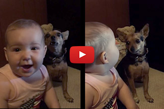 Wow, a Baby and a Dog Talking!? Now We've Seen Everything!