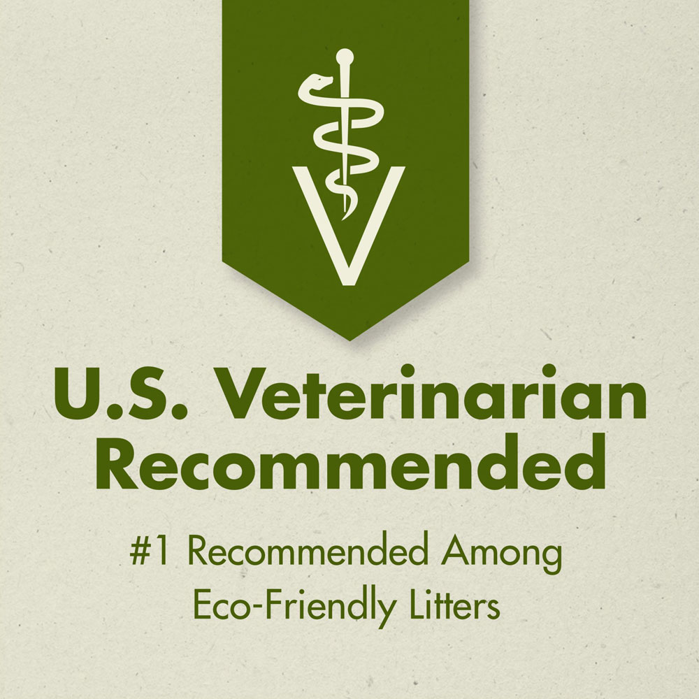 Yesterday's News Softer Texture Unscented NonClumping Paper Cat Litter