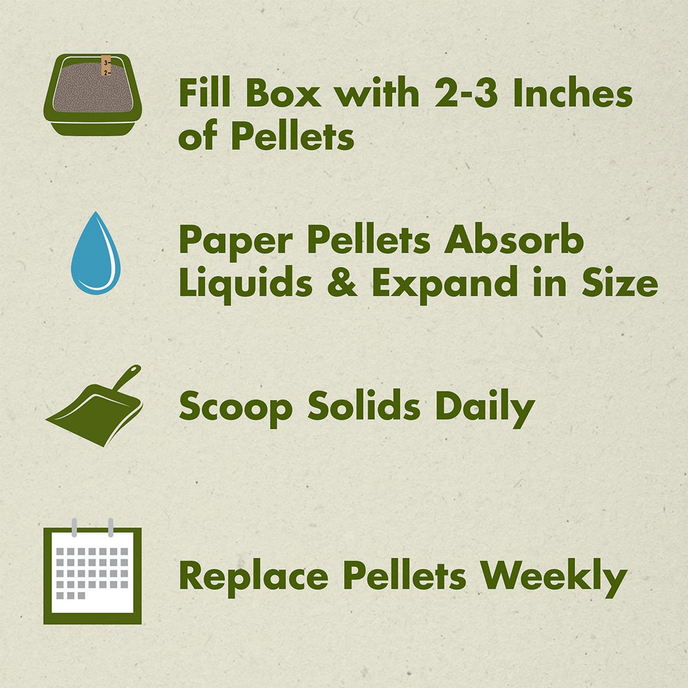 Yesterday's News Softer Texture Unscented NonClumping Paper Cat Litter