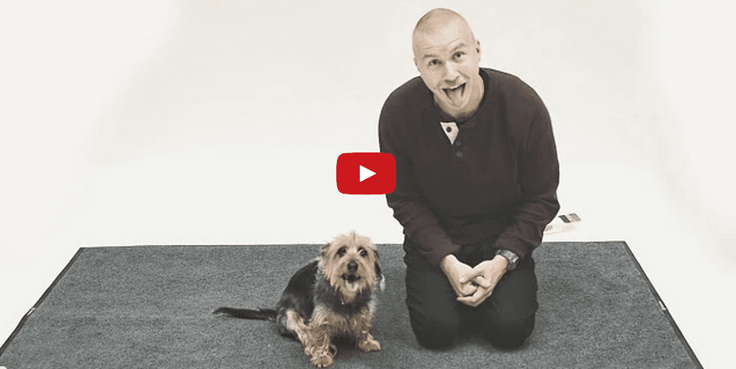 You'll Never Guess How These Dogs React to a Man Barking like a Dog! It's Absolutely <b>HILARIOUS</b>!!