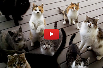 You Wont Believe What She Finds When The Door Is Opened!