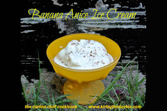Your Dog Will Go Bananas for Banana Anise Ice Cream