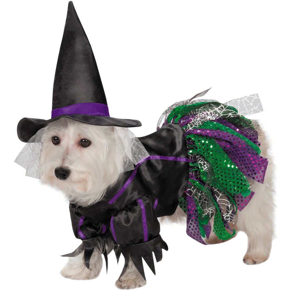 Zack & Zoey Scary Witch Dog Costume