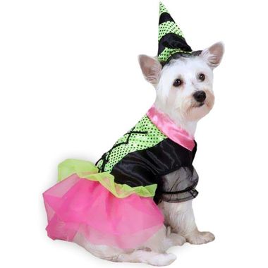 ZACK-N-ZOEY-WITCHY-BUSINESS-COSTUME-GREEN-MEDIUM