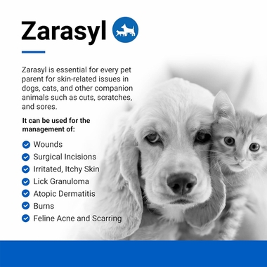 ZARASYL-COMPANION-ESSENTIAL-SKIN-CARE-50-ML