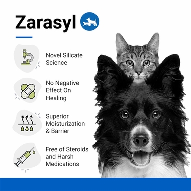 ZARASYL-COMPANION-ESSENTIAL-SKIN-CARE-50-ML