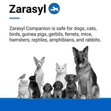 ZARASYL-COMPANION-ESSENTIAL-SKIN-CARE-50-ML