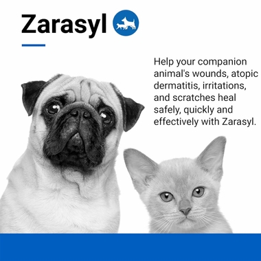 ZARASYL-COMPANION-ESSENTIAL-SKIN-CARE-50-ML