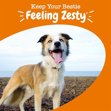 ZESTY-PAWS-MULTIVITAMIN-BITES-CHICKEN-90-CHEWS