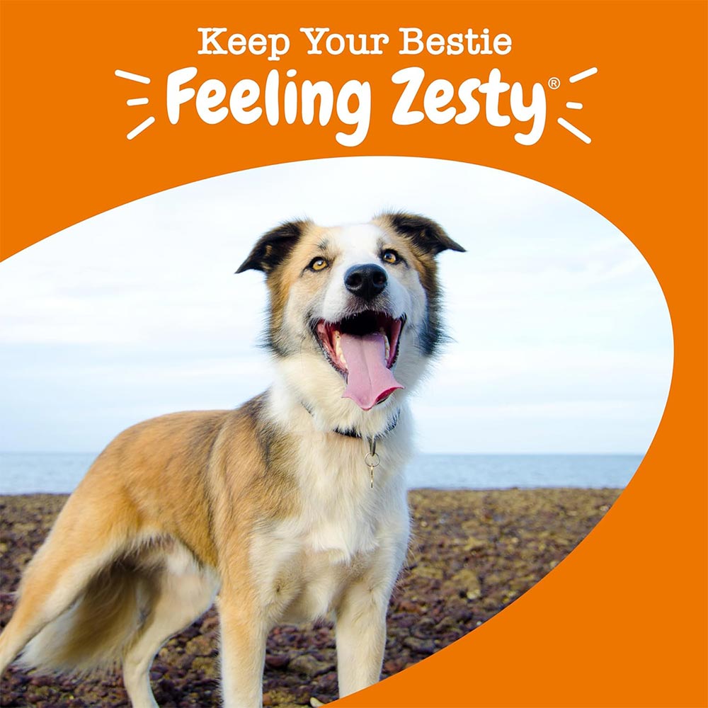 ZESTY-PAWS-MULTIVITAMIN-BITES-CHICKEN-90-CHEWS
