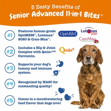 ZESTY-PAWS-SENIOR-MULTIVITAMIN-BITES-CHICKEN-90-CHEWS