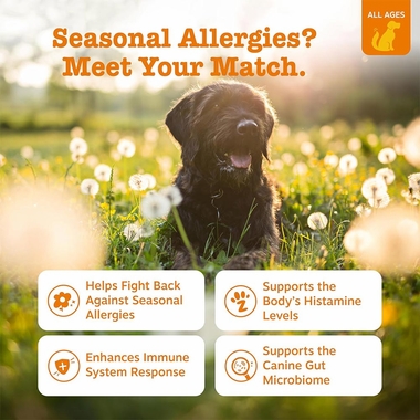 ZESTY-PAWS-ALLERGY-IMMUNE-BITES-SALMON-90-CHEWS