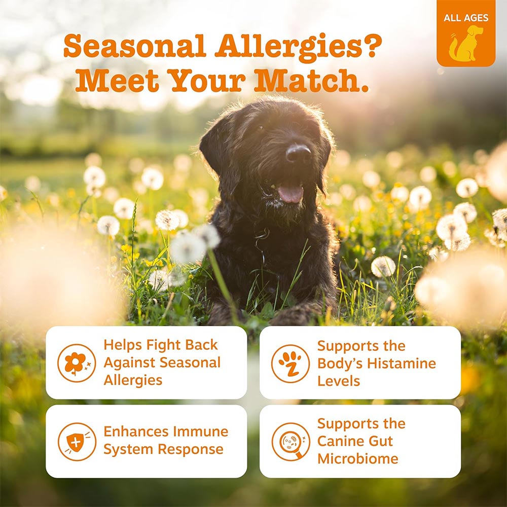 ZESTY-PAWS-ALLERGY-IMMUNE-BITES-SALMON-90-CHEWS