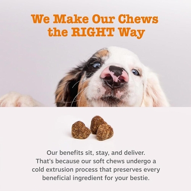 ZESTY-PAWS-ALLERGY-IMMUNE-BITES-SALMON-90-CHEWS