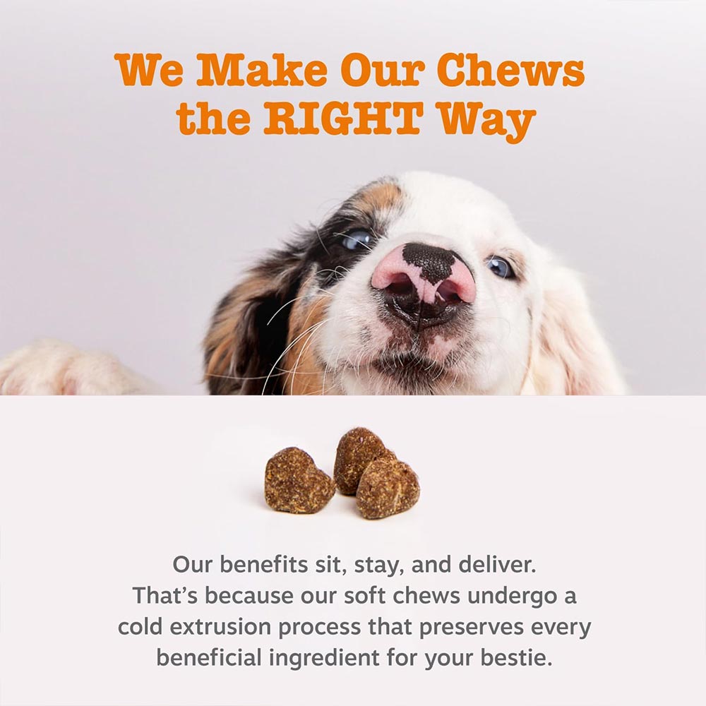 ZESTY-PAWS-ALLERGY-IMMUNE-BITES-SALMON-90-CHEWS