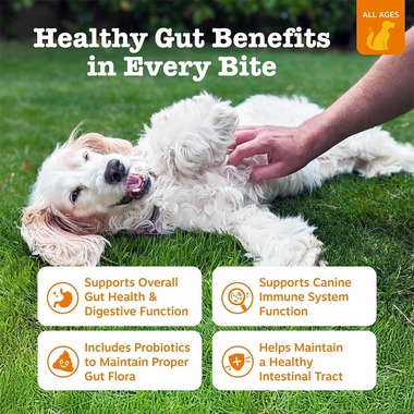 ZESTY-PAWS-PROBIOTIC-BITES-PUMPKIN-90-CHEWS