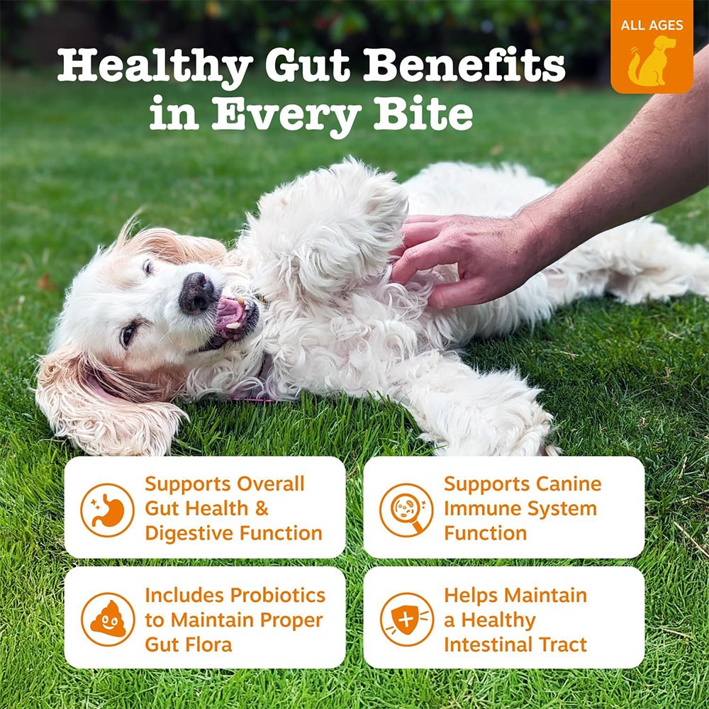 ZESTY-PAWS-PROBIOTIC-BITES-PUMPKIN-90-CHEWS