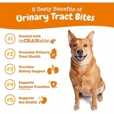 ZESTY-PAWS-URINARY-TRACT-BITES-CHICKEN-90-CHEWS