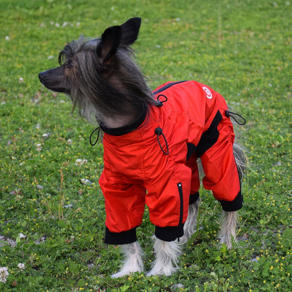 ZIPPY-DYNAMICS-CLASSY-LONG-LEG-14L