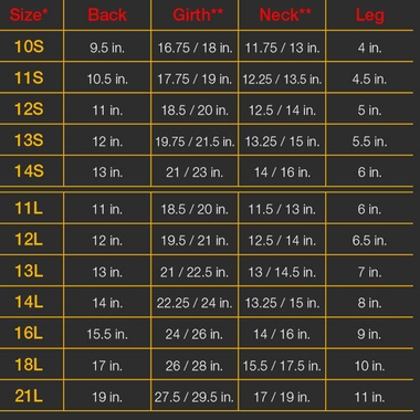ZIPPY-DYNAMICS-CLASSY-LONG-LEG-18L