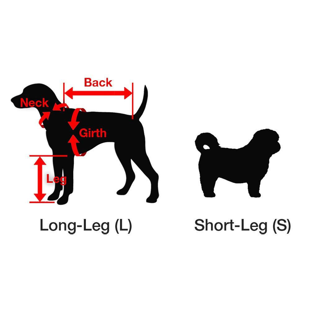 ZIPPY-DYNAMICS-CLASSY-SHORT-LEG-12S