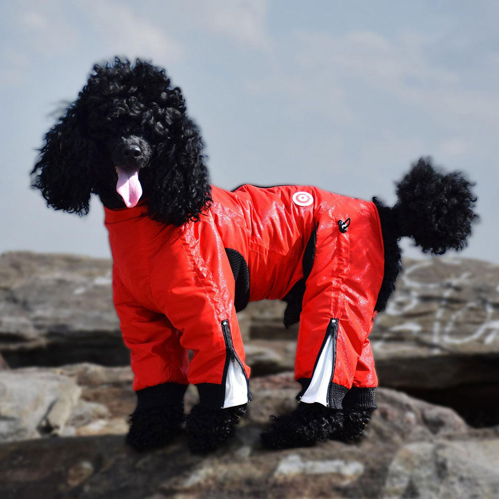 ZIPPY-DYNAMICS-CLASSY-SHORT-LEG-13S