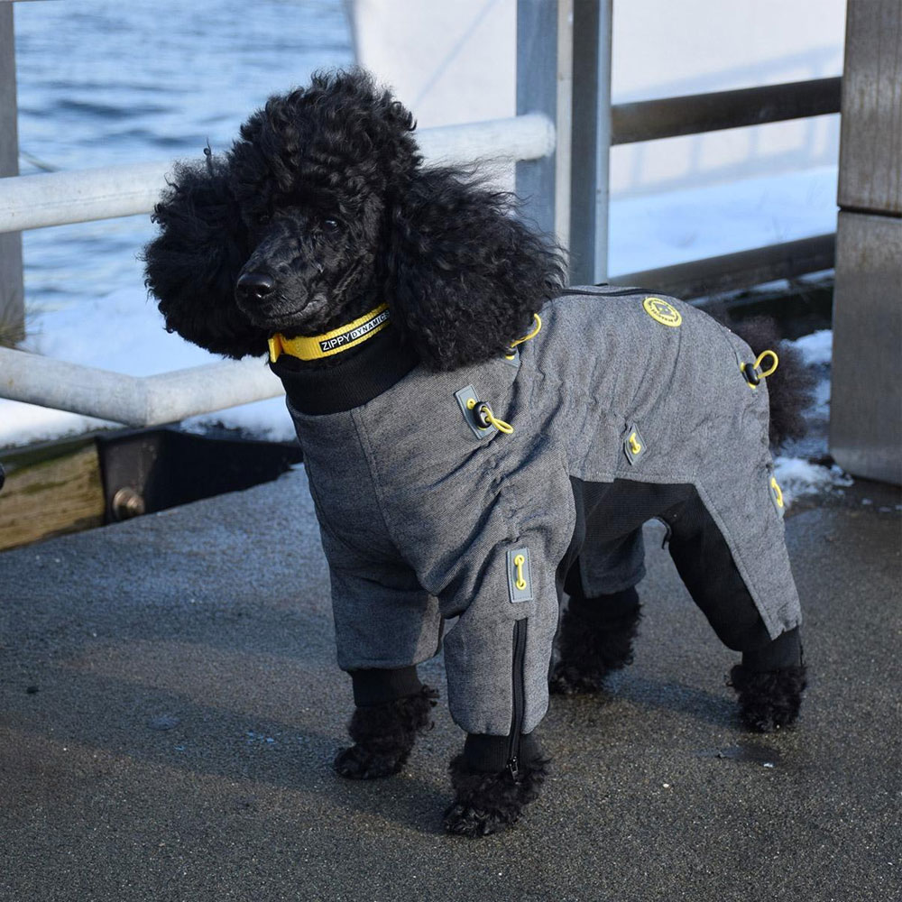 ZIPPY-DYNAMICS-COZY-LONG-LEG-16L