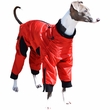 Zippy Dynamics Dog Apparel