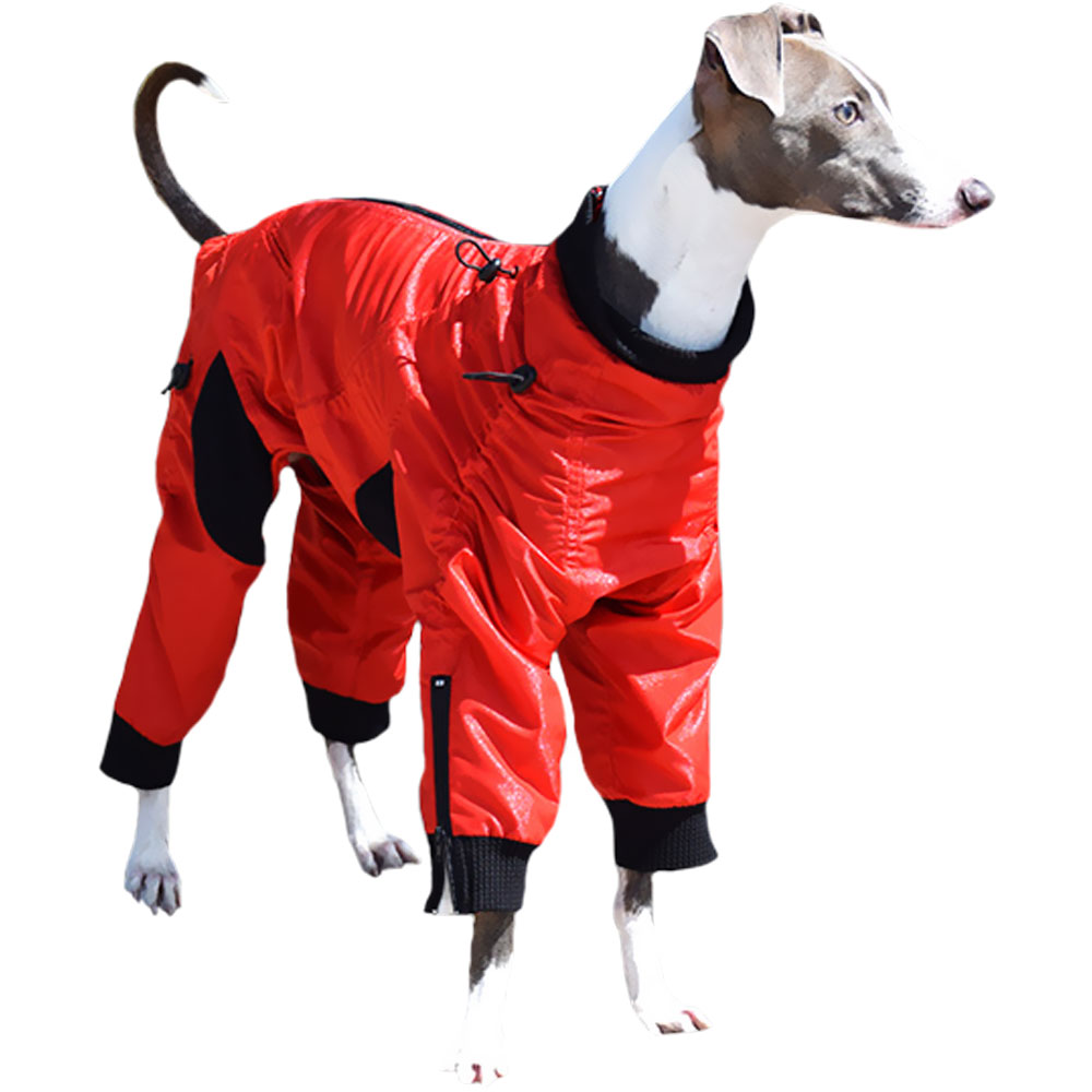 Zippy Dynamics Dog Apparel